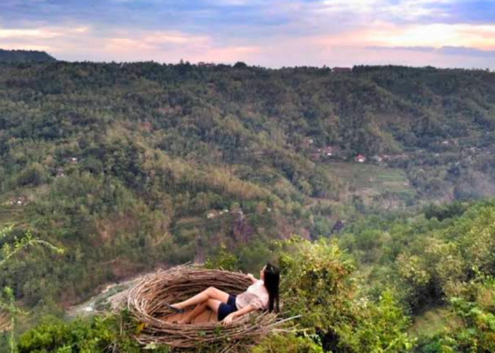 Simak Daya Tarik, Fasilitas dan Rute Menuju Wisata Terbaru 2024 Bukit Mojo Gumelem Jogja? Dijamin Bikin Nyaman