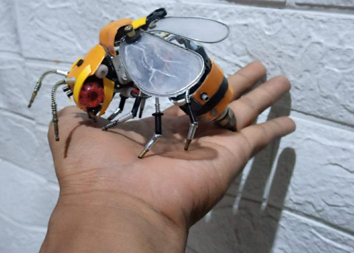 Anak Muda Pemalang Membuat Robot Bermodalkan Limbah Bekas, Dijual Sampai Rp500 Ribu