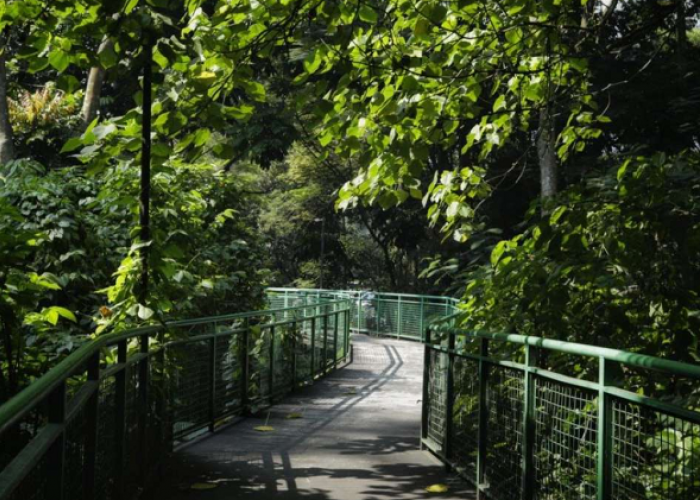 Rekomendasi Jalur Jogging dengan Udara Segar di Bandung Utara, Simak Informasi Lengkapnya Berikut Ini