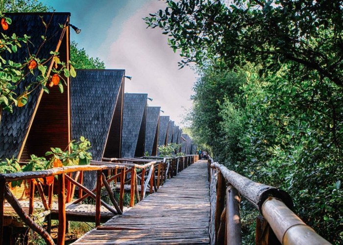 Rehat Sejenak dari Kesibukan Kota, Simak 5 Rekomendasi Wisata Alam Indah di Kawasan Jakarta