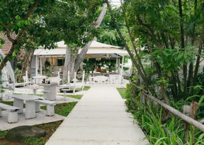 Deretan Cafe Hidden Gem di Jakarta dengan Suasana Nyaman dan Tenang, Simak Lengkapnya Disini
