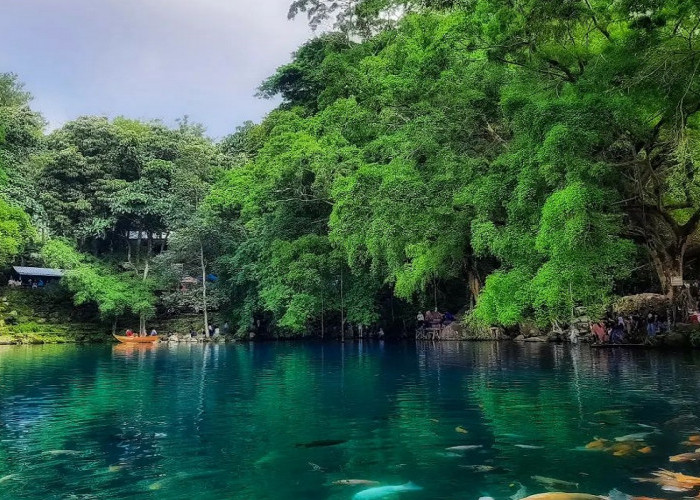 5 Pilihan Wisata dengan Panorama Elok di Kuningan, Hadirkan Pengalaman Liburan Paling Menyenangkan