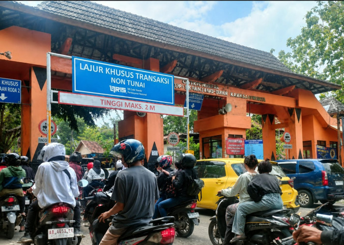 Dinilai Curang, Pemkab Gunungkidul Ambil Alih Total Pengelolaan 3 TPR Pantai, 22 ASN Disiapkan Menggantikan