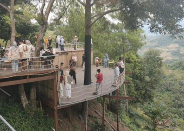 Harga Tiket Masuk Dante Pine 2026 Ini Destinasi Wisata Paling Hits dengan View Gunung 
