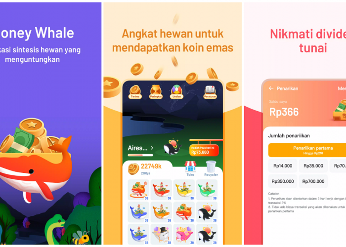 Aplikasi Money Whale Penghasil Uang: Cara Instal, Kelebihan hingga Potensi Pendapatan sampai Rp100 Ribu