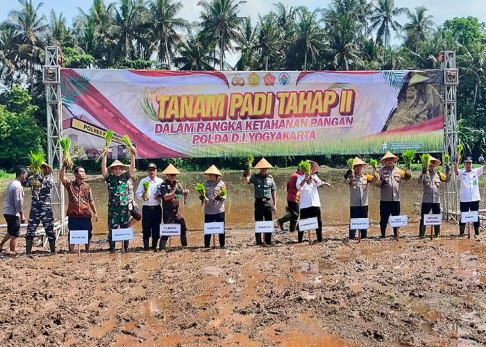 Polda DIY Produktifkan Lahan dengan Kadar Keasaman Tinggi di Galur untuk Dukung Ketahanan Pangan