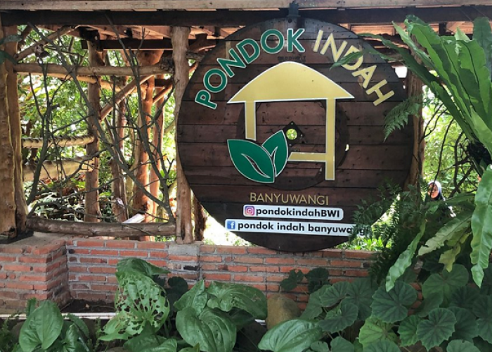 Daftar Cafe dan Resto Berpemandangan Alam Spektakuler Edisi Terbaru di Kaki Gunung Ijen Banyuwangi
