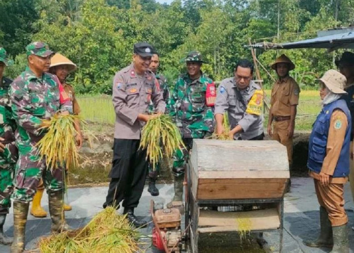 Capai Hasil Panen Tertinggi, Kapanewon Semin Resmi Jadi Sentra Penghasil Beras di Gunungkidul