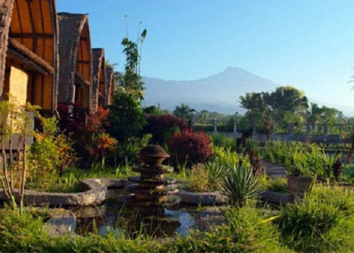 Surganya Pesona Persawahan Terasering dan Air Terjun Tersembunyi di Tetebatu Lombok