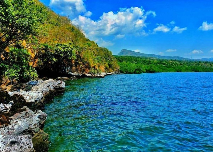 5 Pilihan Wisata untuk Habiskan Waktu di Situbondo, Indah dan Tawarkan Daya Tarik Unik