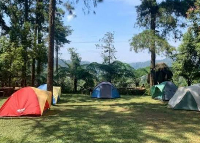 Wisata Terbaru 2024 Tenggir Park: Pesona, Tiket Masuk, Lokasi Fasilitas Lengkap