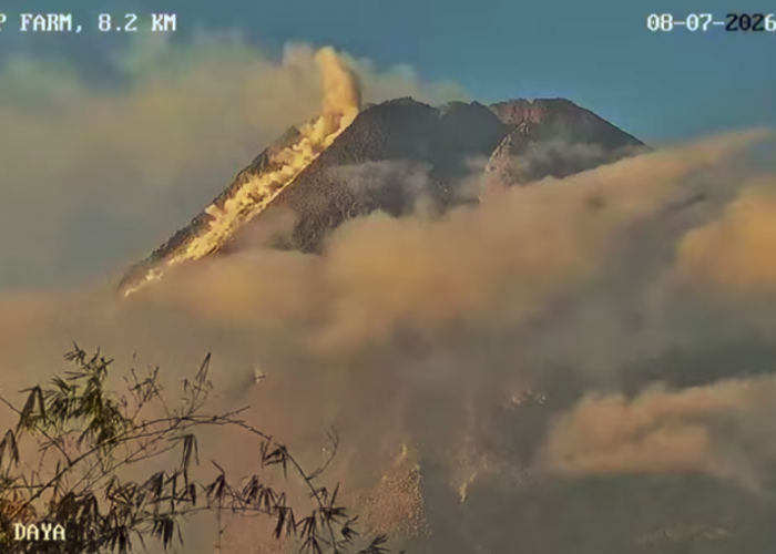 Merapi Dua Kali Luncurkan Awan Panas dalam Sehari, BPPTKG Minta Warga Jauhi Zona Bahaya