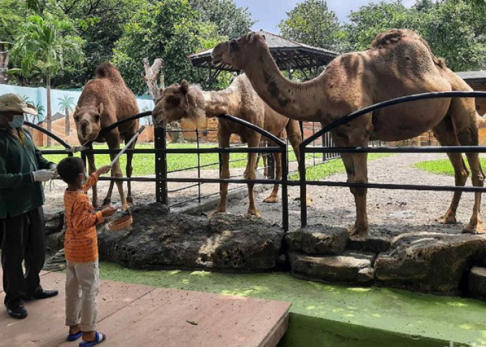 Kunjungi Spot Wisata Populer di Surabaya Ini untuk Mengisi Libur Sekolah Anak