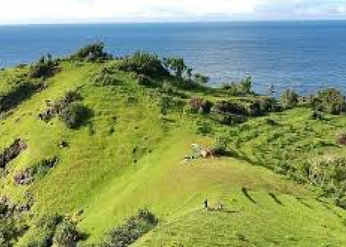 Wisata Bukit Pengilon Cocok Untuk Tempat Liburan Akhir Tahun, Spot Cantik Menikmati Pantai di Yogyakarta