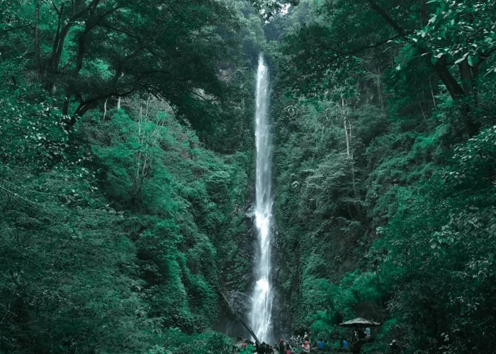 Serunya Menjelajahi Wisata Alam Malang: 5 Destinasi Paling Menawan di Malang yang Wajib Anda Kunjungi