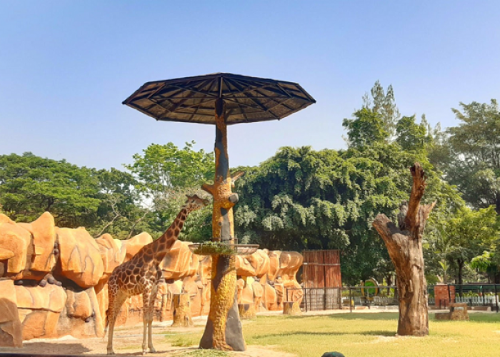 Wisata Surabaya Cuma Rp700-an, Liburan Hemat di Surabaya 