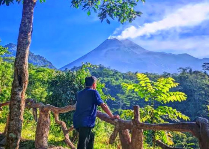 Jelajah Seru Memandang Indah Gunung Merapi: Daya Tarik dan Fasilitas Wisata Terbaru 2024 Tankaman Natural Park