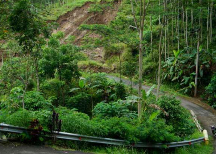 Masuk Siaga Bencana Hidrometeorologi Basah, BPBD Yogyakarta Imbau Masyarakat Harus Siap Segala Kondisi