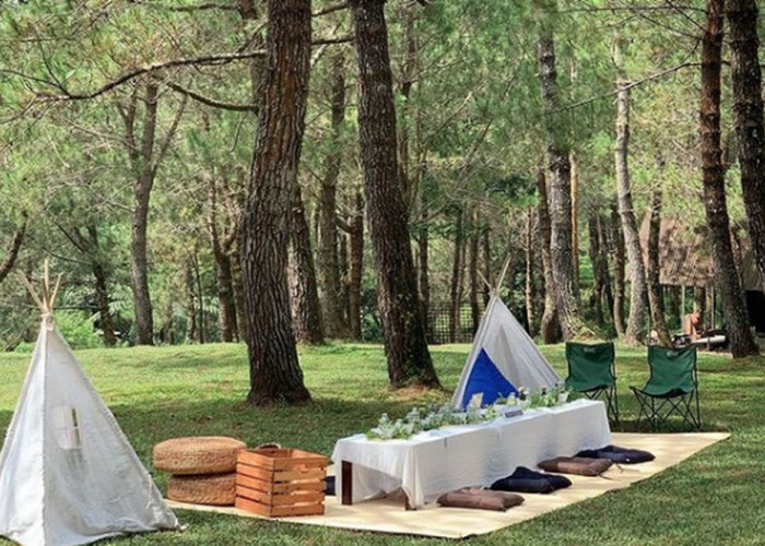 5 Deretan Tempat Piknik Lembang, Seru dan Menyenangkan untuk Ide Liburan