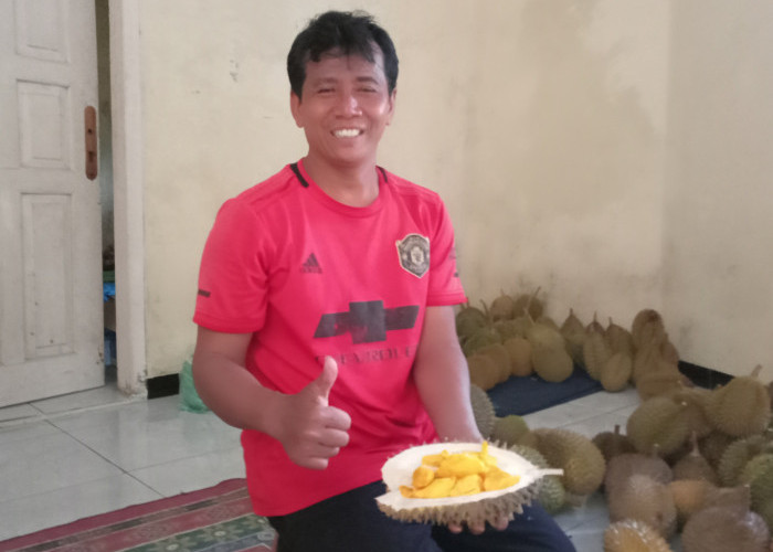 Durian Orange di Pemalang Mulai Diburu Pembeli, Dipercaya Rendah Kolesterol