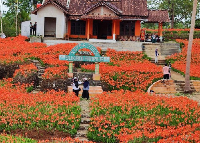 Destinasi Wisata Favorit untuk Liburan Sekolah yang Seru dan Edukatif di Gunungkidul