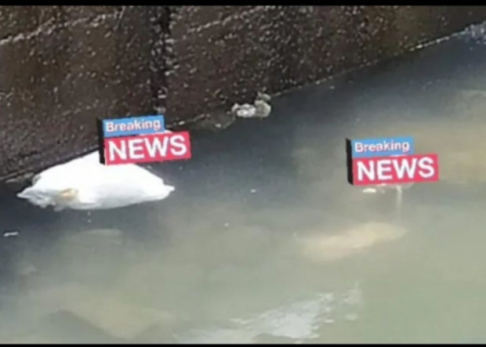 Viral! 2 Mayat Bayi di Sungai Berbah Sleman Bikin Geger Warga 