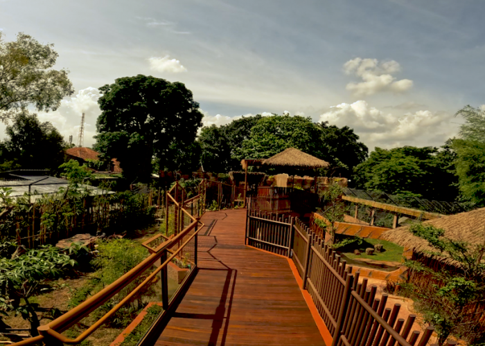  Zona Cakar Gembira Loka Zoo Hadirkan Rubah Merah dan Anjing Liar Afrika saat Lebaran 2026