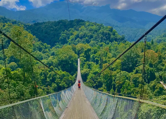 Wisata Situ Gunung Sukabumi: Aktivitas Menarik Nikmati Pesona Alam Memukau, Cek Disini