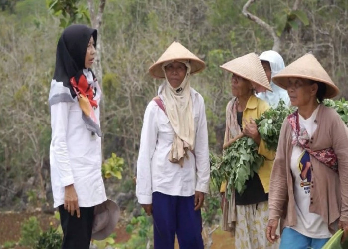 Bertahun Membangunkan Ratusan Hektar Lahan Tidur di Gunungkidul, Begini Kisah Suswaningsih