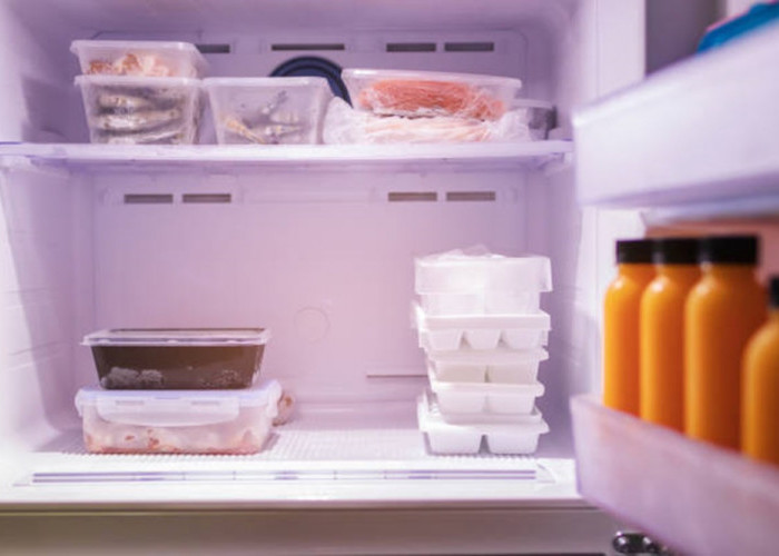 Simak Tips Perawatan Freezer Pada Merek Kulkas Terbaik Agar Awet Bertahun-tahun