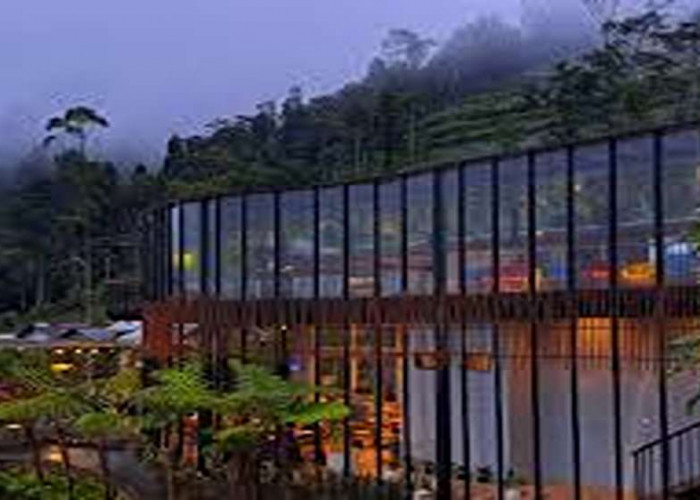 Viral 2025! 8 Tempat Makan Malam Purbalingga, Cita Rasa Khas Tradisional Terenak Dengan Harga Terjangkau