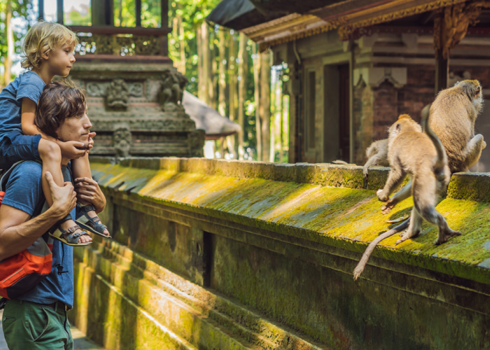 Hidden Gem di Rimbunan Pepohonan, Simak 5 Rekomendasi Hutan Wisata Bali Paling Populer 2025