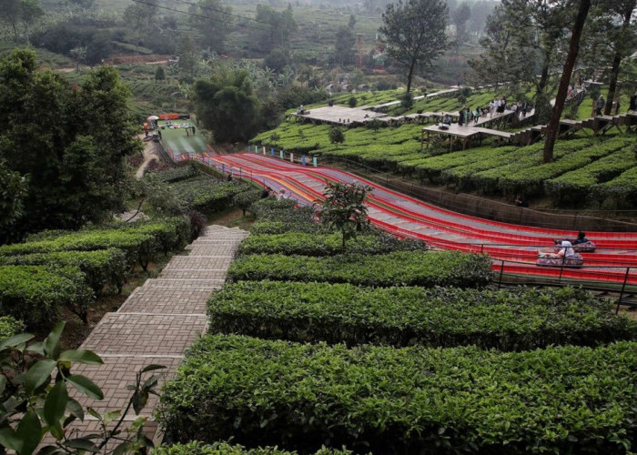 6 Rekomendasi Wisata Puncak Bogor untuk Keluarga dengan Kegiatan Menarik Paling Seru, Simak Disini