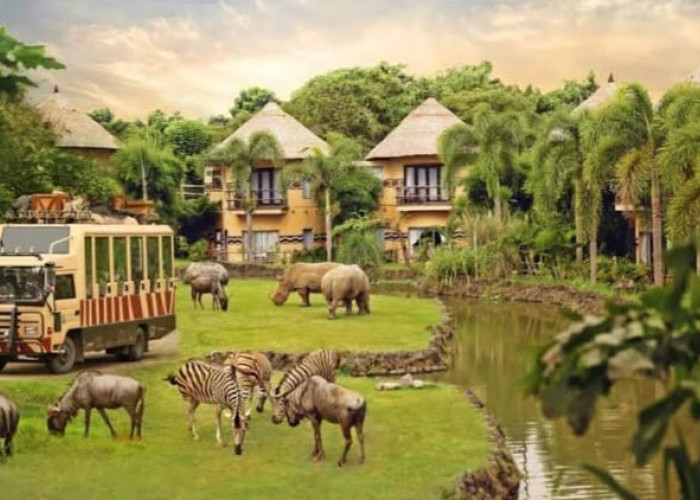 Jelajahi Keajaiban Wisata Terbaru 2024 The Amazing Taman Safari Bali