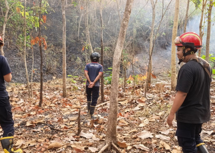 Kebakaran Gunung Gedhe Imogiri Belum Padam Total, Warga dan Petugas Masih Pantau Titik Api