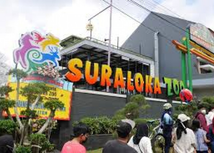 Suraloka Interactive Zoo Tempat Liburan Akhir Tahun Jogja, Petualangan Seru Bersama Satwa Kaki Gunung Merapi