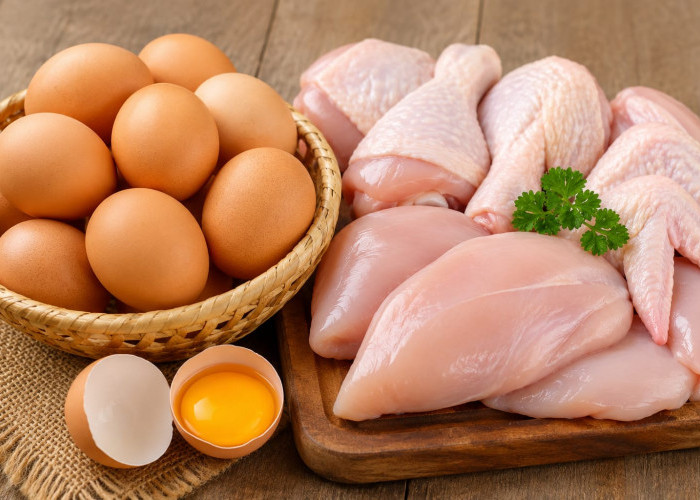 Libur MBG Picu Harga Telur dan Ayam Turun, Ibu Rumah Tangga Senang, Peternak Mulai Waswas