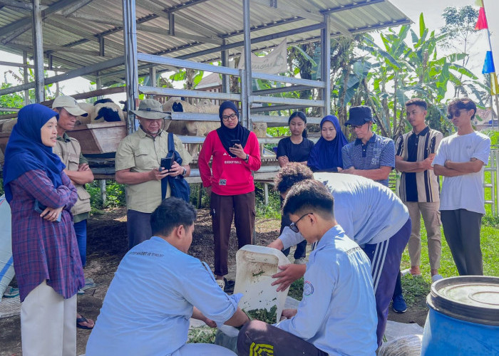 Dari Lereng Merapi, Pasutri Sleman Ingin Cetak Ribuan Peternak Baru Lewat Pelatihan Gratis