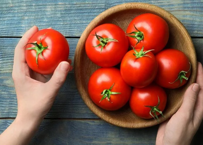 7 Manfaat Tomat untuk Kesehatan, Jika di Konsumsi  Setiap Hari!