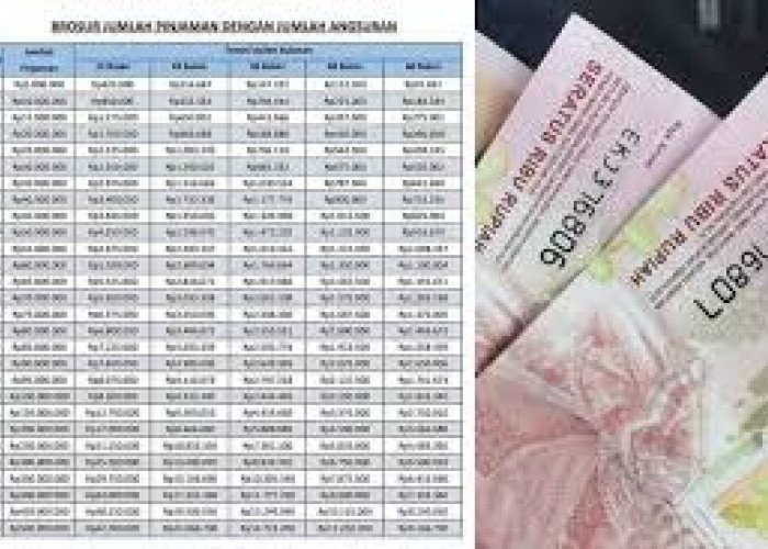 Daftar Pinjaman Bank Yang Resmi Aman Dan Terpercaya, Hadir Dengan Bunga Terendah 2025