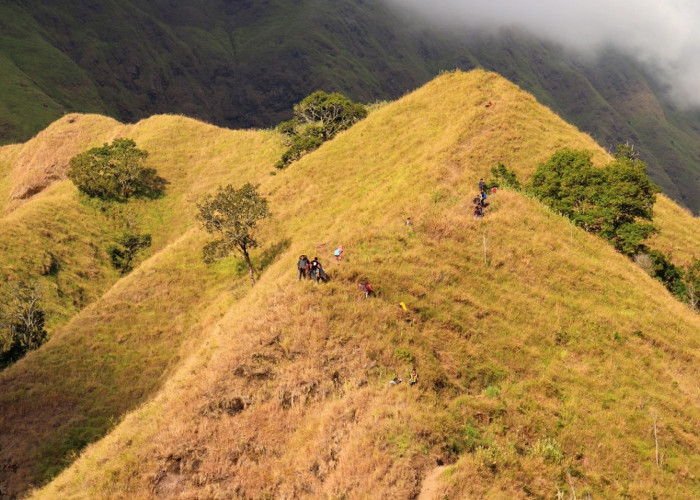 Wisata Bukit Sempana Nusa Tenggara Barat: Daya Tarik, Tiket Masuk, Jam Buka dan Lokasi Lengkap