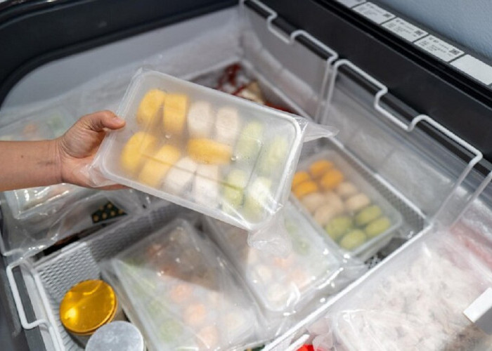 Tips Merawat Dan Membersihkan Merek Kulkas Terbaik Jenis Freezer Agar Tidak Cepat Rusak