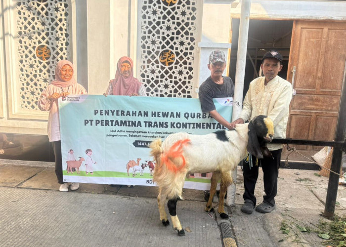 Pertamina Trans Kontinental Tetap Jaga Operasional, Idul Adha 2026 Berbagi Berkah Kurban Bersama Masyarakat