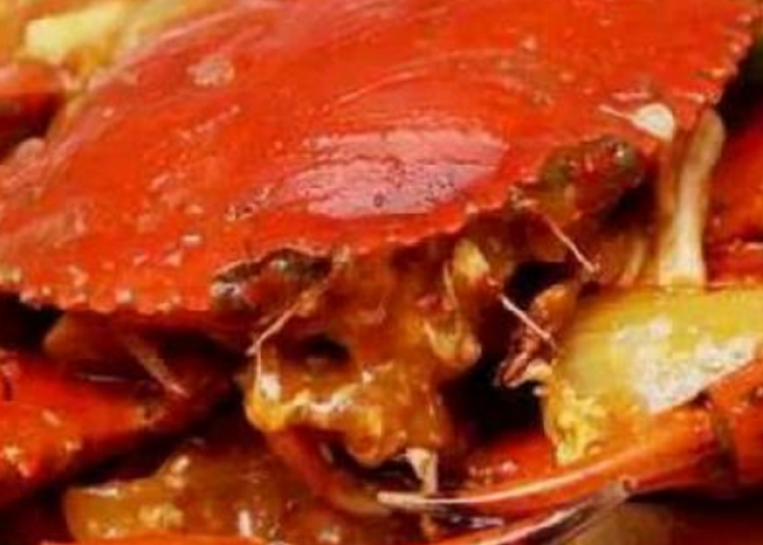 Pilihan Seafood Enak di Solo untuk Kuliner Malam Porsi Melimpah dan Harga Kaki Lima