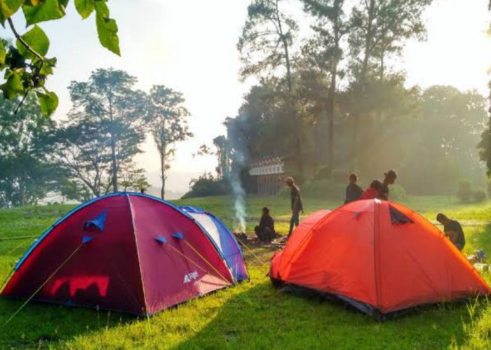 Sensasi Tenang Nyaman, Wisata Terbaru 2024 Hutan Penggaron, Dijamin Bikin Betah