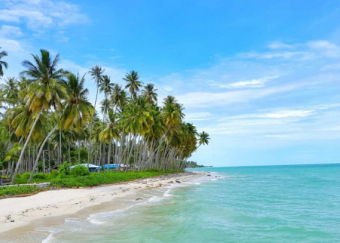 Menikmati Pasir Putih dan Kedamaian Tanpa Biaya di Pantai Biduk-Biduk, Cek Info Lengkapnya Disini
