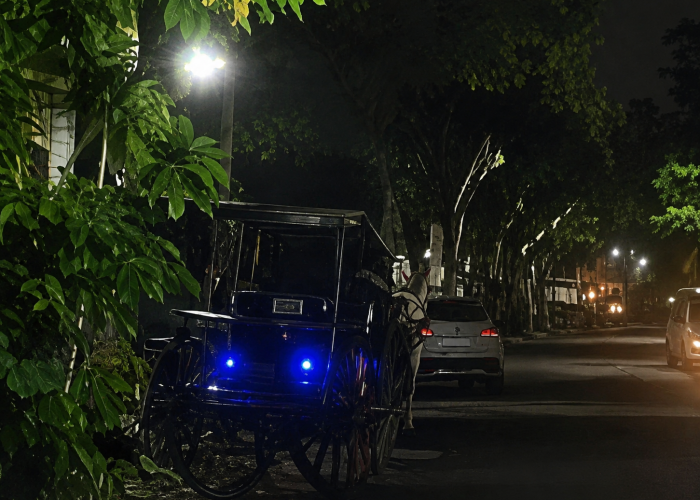 Andong Kehilangan Kendali di Depan Puskesmas Pakualaman, Kusir Terluka