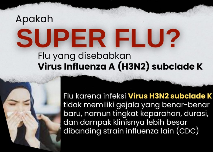 Dinkes DIY Konfirmasi Satu Kasus Super Flu H3N2 Subclade K, Pasien Bayi Sudah Sembuh