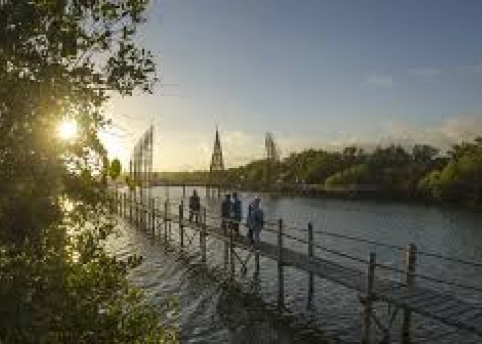 Jelajahi Keindahan Pantai Congot Rekomendasi Wisata Kulon Progo, Destinasi Pantai Indah Dibalut Hutan Mangrove