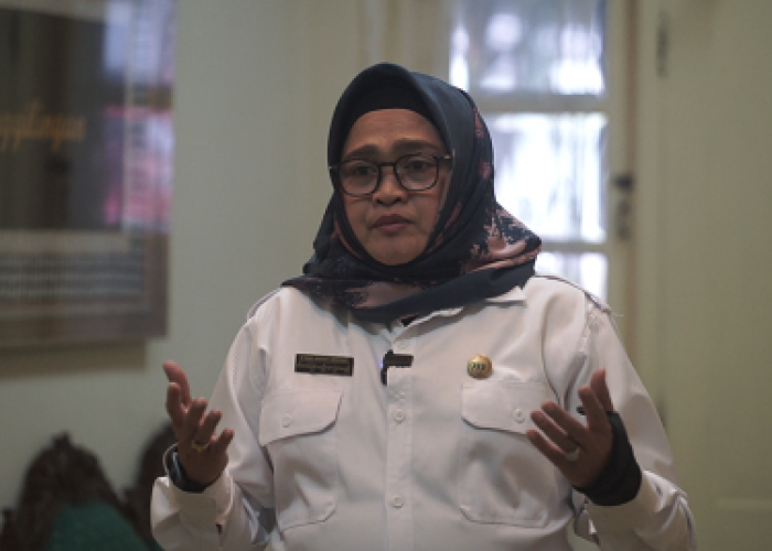 Tahun Baru 2026, Sekda DIY Ajak Warga Jogja Hentikan Petasan dan Kembang Api